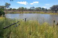 IMG-20221226-WA0065