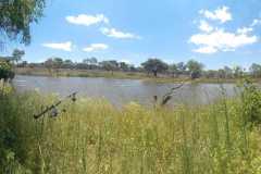 IMG-20221226-WA0084