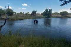 IMG-20221226-WA0088